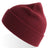 Atlantis Headwear Men's Sustainable Rib Knit Atlantis Headwear