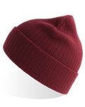 Atlantis Headwear Men's Sustainable Rib Knit Atlantis Headwear