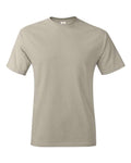 Hanes Men's Authentic T-Shirt