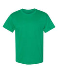 Hanes Men's Ecosmart? T-Shirt Hanes
