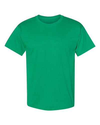 Hanes Men's Ecosmart? T-Shirt