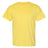 Hanes Men's Ecosmart? T-Shirt Hanes