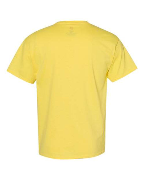 Hanes Men's Ecosmart? T-Shirt Hanes