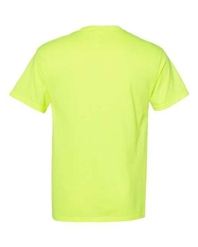 Hanes Men's Ecosmart? T-Shirt