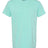 Comfort Colors Men's Garment-Dyed Lightweight T-Shirt Comfort Colors