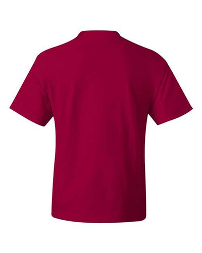 Hanes Men's Beefy-T Tall T-Shirt