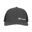 Champion Dixon Flexfit Cap Champion