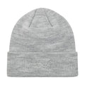 Puma Hall Cuff Beanie Puma