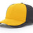 Richardson Dryve/Carbon Fiber Hat Richardson
