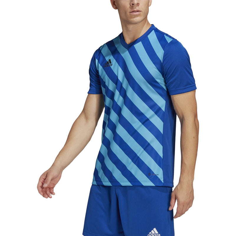 adidas Mens Entrada 22 Graphic Jersey