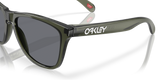Oakley Frogskins Glasses-6