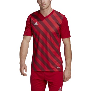 adidas Mens Entrada 22 Graphic Jersey