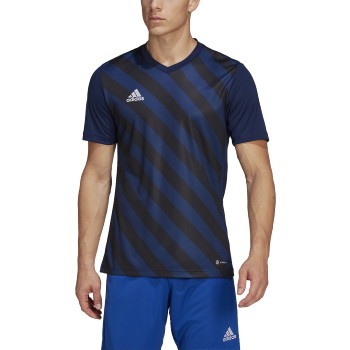 adidas Mens Entrada 22 Graphic Jersey