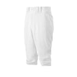 Mizuno Men's Premier Short Baseball Pant Mizuno