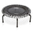 JumpSport Model 350 Trampoline and Rebounder JumpSport