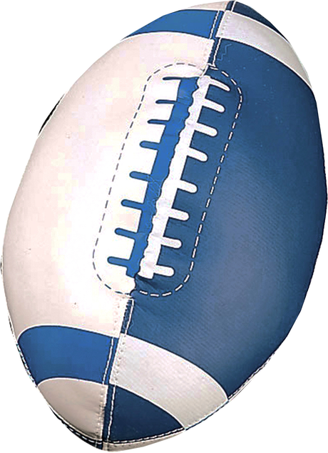 Champion Sports Soft Sport Mini Football Champion Sports