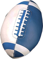 Champion Sports Soft Sport Mini Football Champion Sports