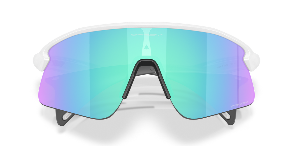 Oakley Stunt Devil Sunglasses-9