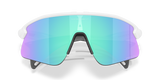 Oakley Stunt Devil Sunglasses-9