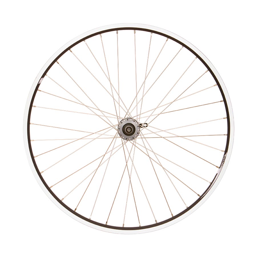 Wheel Shop Evo Tour 19 Blk QR Rim and Disc 700C/29" Wheel-2