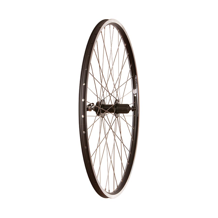 Wheel Shop Evo Tour 19 Blk QR Rim and Disc 700C/29" Wheel-1