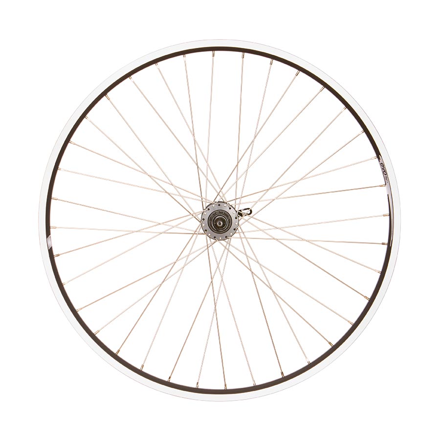 Wheel Shop Evo Tour 19 Blk QR Rim and Disc 700C/29" Wheel-4