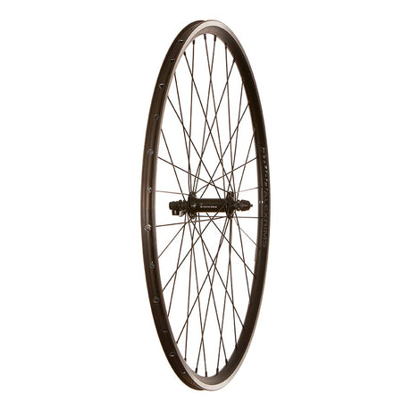 Wheel Shop Alex AT490 / Shimano Sora RS300 Wheel Wheel Shop