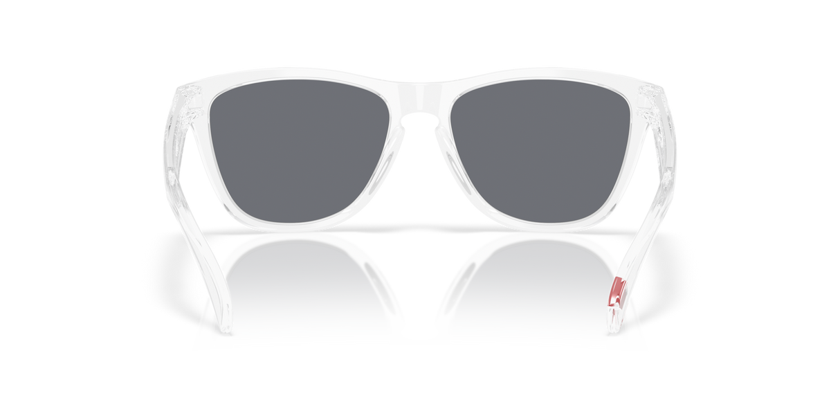 Oakley Frogskins Glasses-4