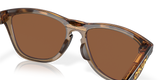 Oakley Frogskins Range Glasses-7