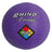 Champion Sports Playground Ball