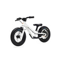 Kids Ride Shotgun Dirt Hero 12" Push Bicycle