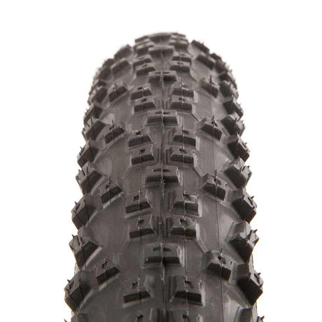Schwalbe Rapid Rob Mountain Tire Schwalbe