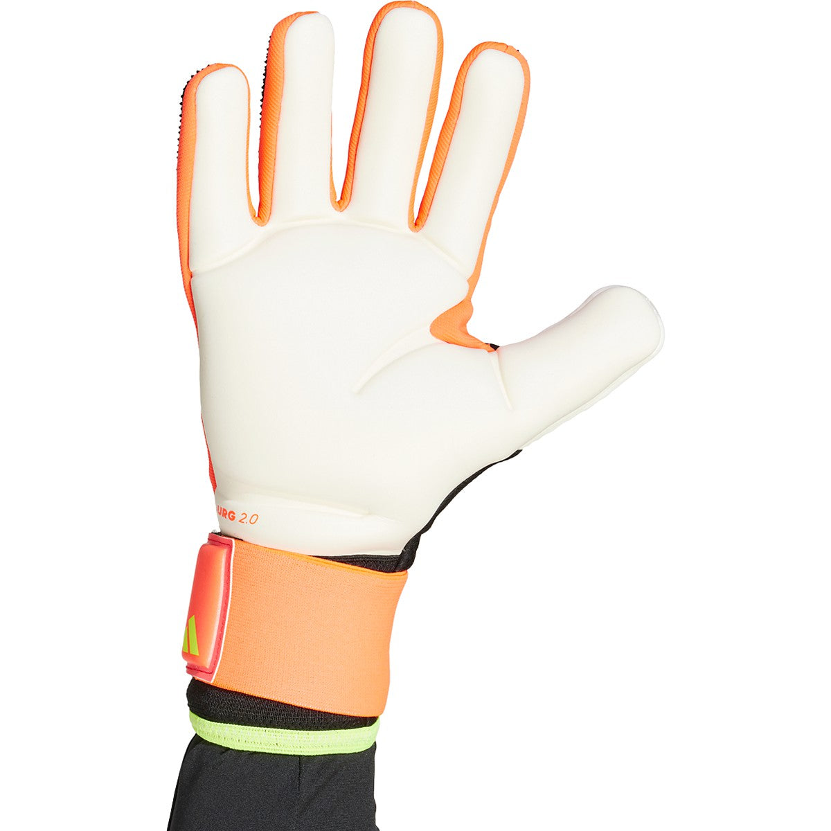 adidas Predator Competition Men's Soccer Goalie Gloves adidas