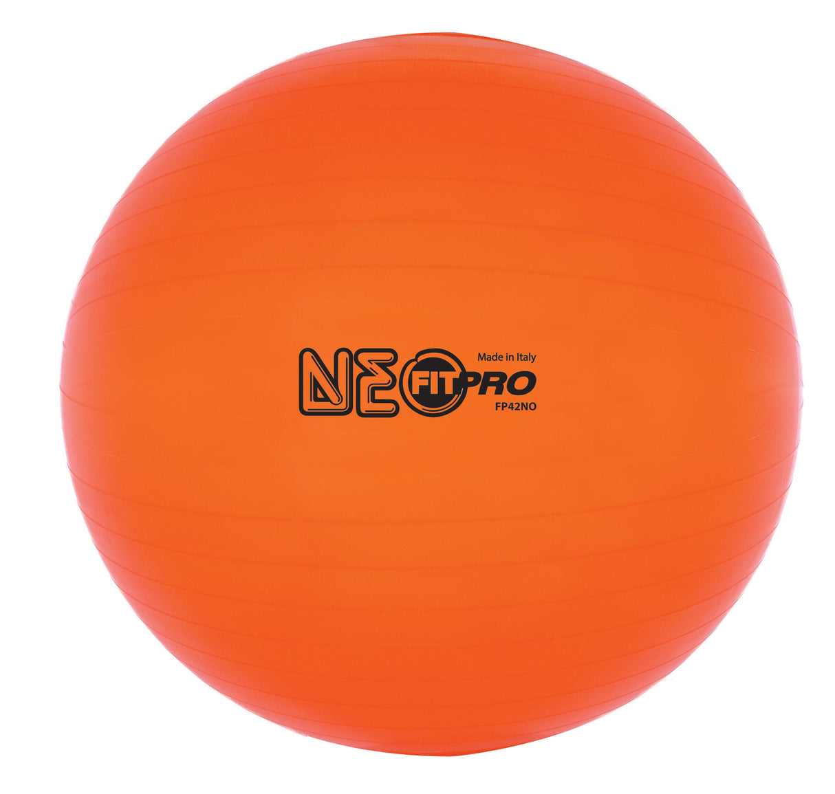 Champion Sports Fitpro Training/Exercise Ball Champion Sports