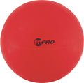 Champion Sports Fitpro Training/Exercise Ball Champion Sports