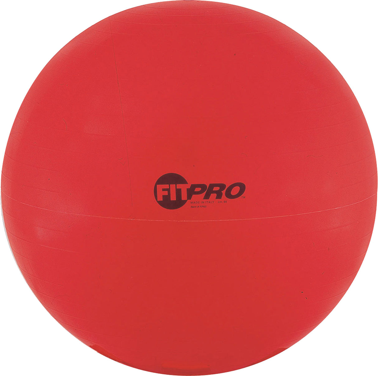 Champion Sports Fitpro Training/Exercise Ball Champion Sports