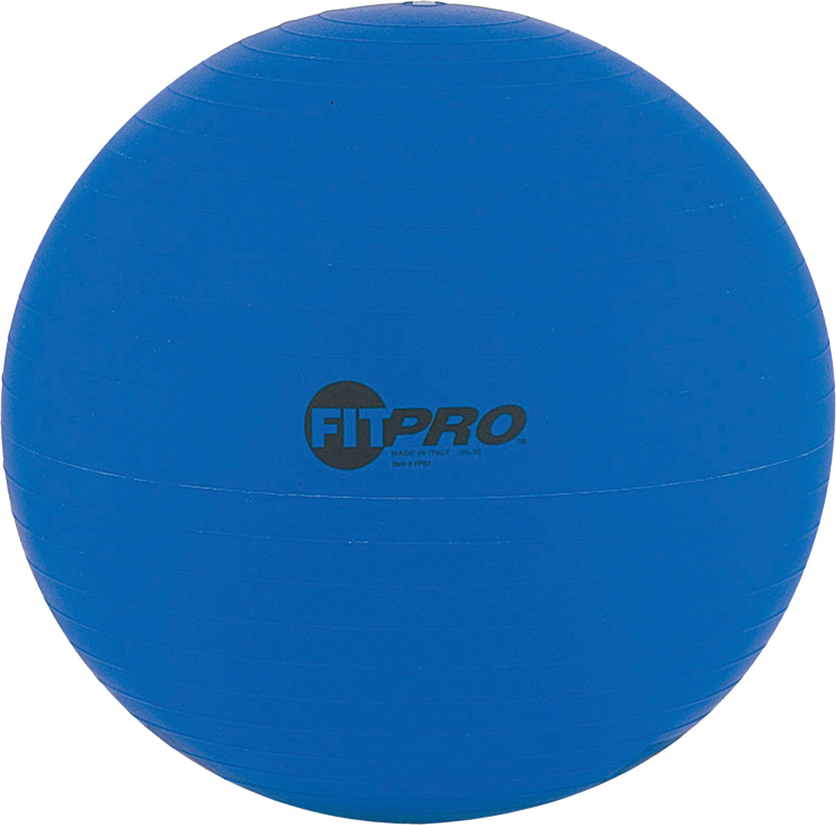 Champion Sports Fitpro Training/Exercise Ball Champion Sports