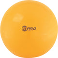 Champion Sports Fitpro Training/Exercise Ball Champion Sports