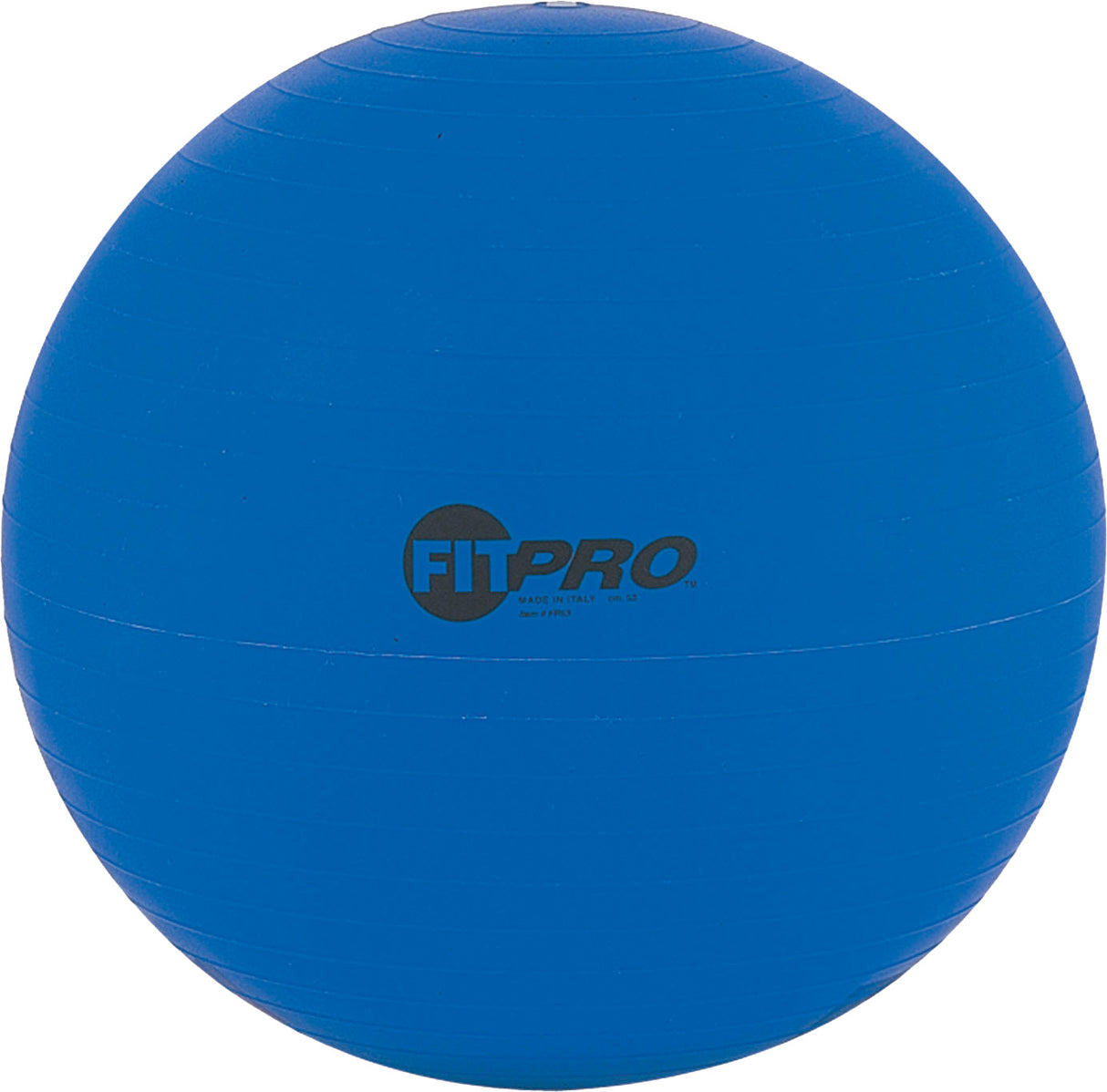 Champion Sports Fitpro Training/Exercise Ball Champion Sports