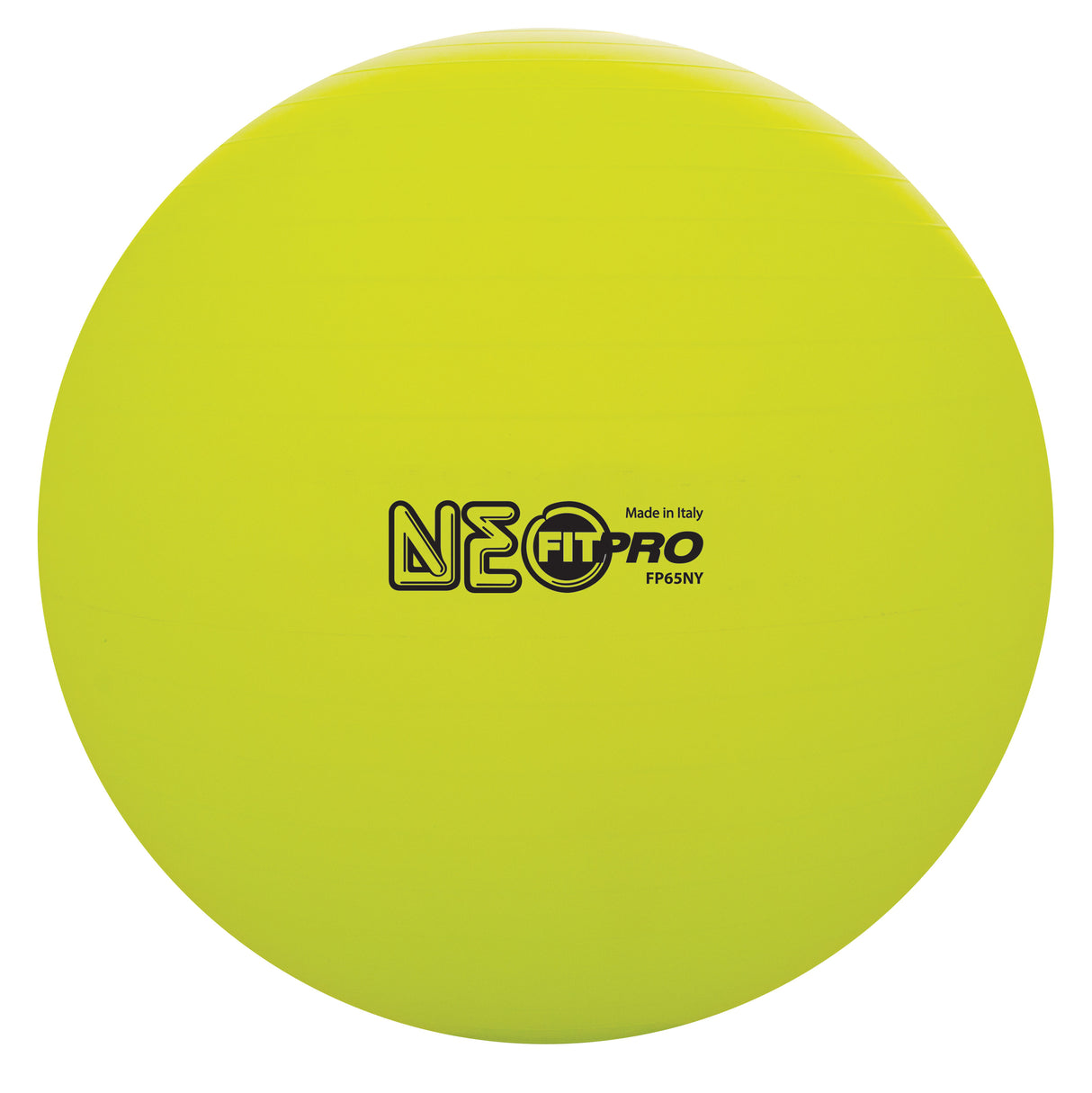 Champion Sports Fitpro Training/Exercise Ball Champion Sports