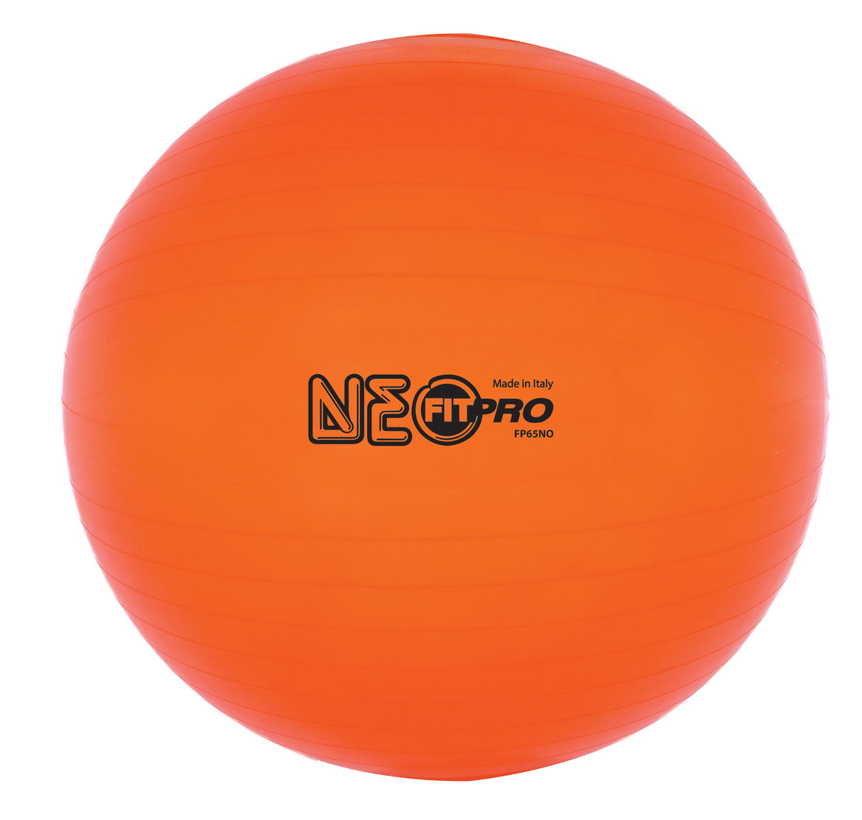 Champion Sports Fitpro Training/Exercise Ball Champion Sports