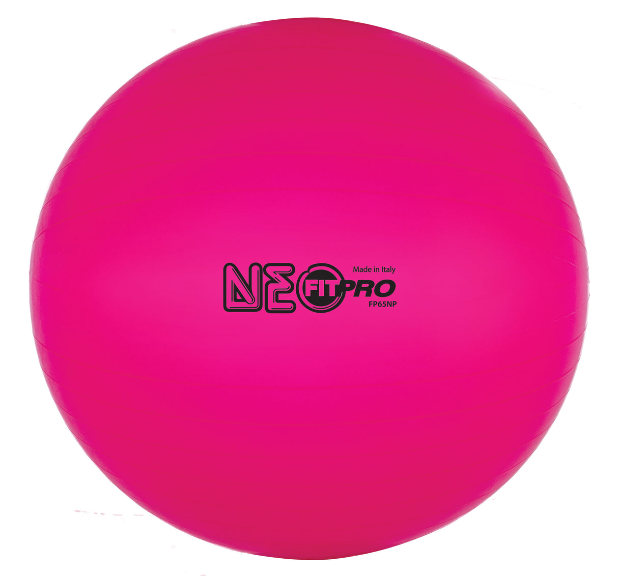 Champion Sports Fitpro Training/Exercise Ball Champion Sports