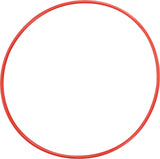 Champion Sports 24 Inch Plastic Hoops Champion Sports
