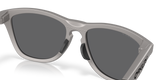 Oakley Frogskins Range Glasses-7