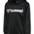Hummel Youth Logo Hoodie Hummel