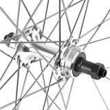 Sta-Tru 700X20-25 Alloy QR SS 32H Wheel-1