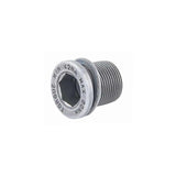 Campagnolo FC-PO007 Ultra Torque Crank Bolt