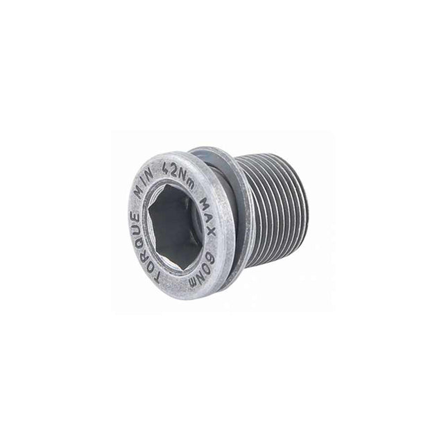 Campagnolo FC-PO007 Ultra Torque Crank Bolt