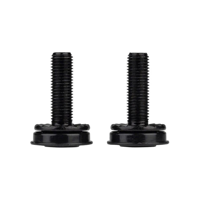 Salt M8x1.0P #2 Crank Arm Bolts
