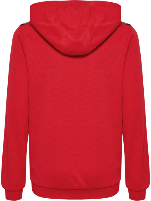 Hummel Youth Authentic Pl Hoodie Hummel